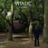 Vitalic – Waiting For The Stars (Ft David Shaw And The Beat)
